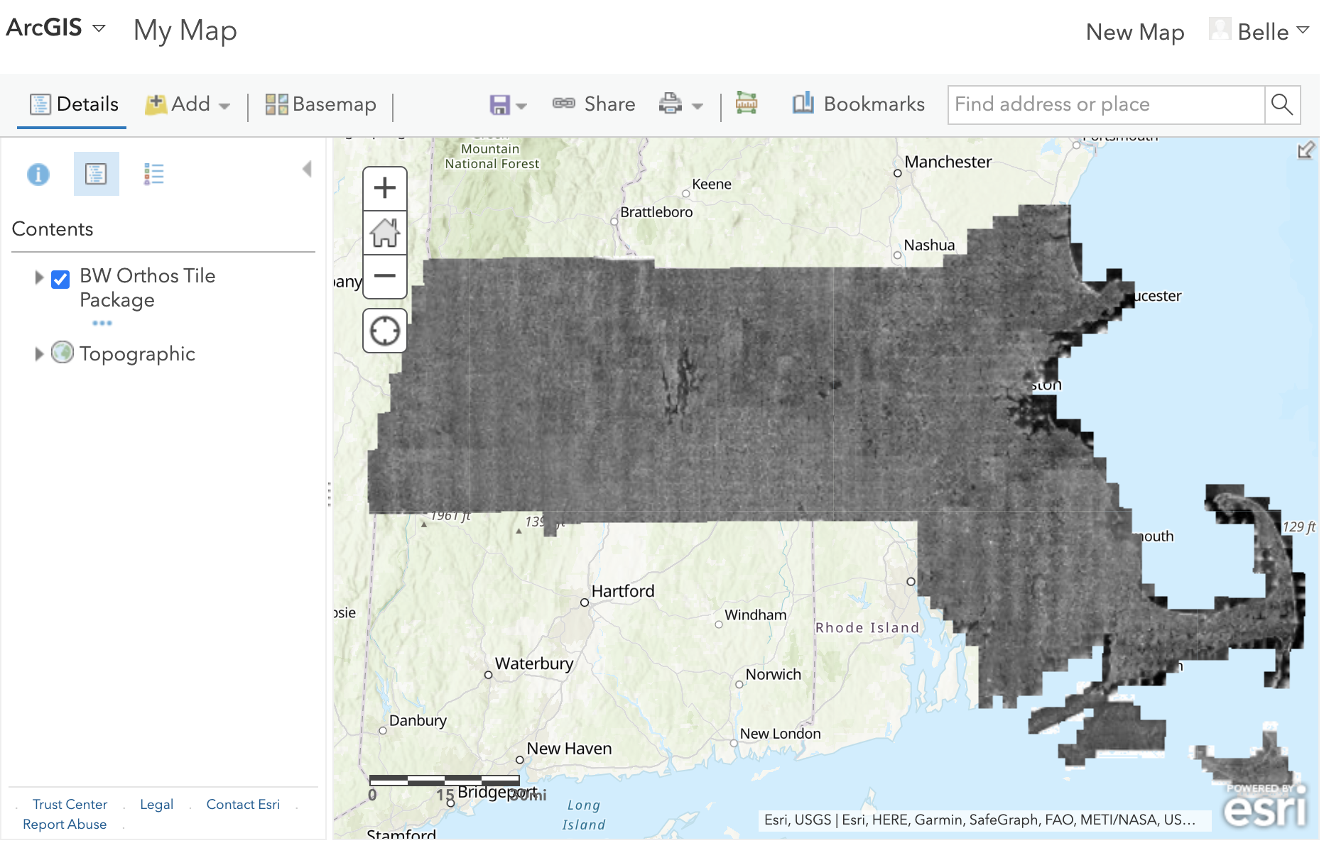 ESRI aerial